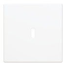 Busch Jaeger 6479-914 Busch-balance SI Centraalplaat USB voeding 1-voudig Alpinwit 