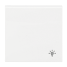 Busch-Jaeger 2520 LI-914 