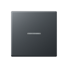 Jung A 101 KO5 BF ANM Schakelwip met lens Antraciet mat