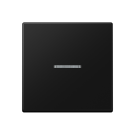 Jung A 101 KO5 BF SWM Schakelwip met lens Grafietzwart mat