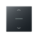 Jung A 101 KO5P BF ANM F10 Schakelwip met lens en pijlsymbolen Antraciet mat