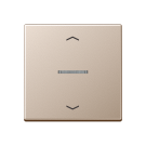 Jung A 101 KO5P CH F10 Schakelwip met lens en pijlsymbolen Champagne