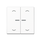 Jung A 102 KO5P WW Schakelwip met lens 2-voudig en pijlsymbolen Alpine wit