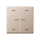 Jung HOME BT A 17102 P CH Taster 2-voudig met pijlsymbolen Champagne