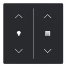 Busch Jaeger LFDW/A.2.63.11-885 Future Linear Afdekking 2-voudig wip voor keypad met symbool “Dimmen/Jaloezie" Zwart mat