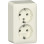 Gira 478012 Opbouw Dubbele wandcontactdoos met randaarde 16 A 250 V~ met montageplaat Crème wit