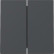 Gira 329528 Systeem 55 Wip 2-voudig Antraciet 