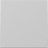 Gira 3296015 Systeem 55 Wip Grijs mat