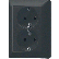 Jung AL 5020 KI AN-L 2-voudige wandcontactdoos met beschermingscontact 