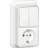 Gira 417511 Opbouw Combinatie Serieschakelaar/ wandcontactdoos met randaarde 16 A 250 V~ verticaal met montageplaat en adapter K/P25