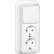 Gira 418611 Opbouw Combinatie wipschakelaar/ dubbele wandcontactdoos met randaarde 16 A 250 V~ verticaal met montageplaat en adapter K/P25K/P25 Zuiver wit 
