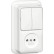 Gira 447511 Opbouw Combinatie serieschakelaar/ wandcontactdoos zonder randaarde 2-polig 16 A 250 V~ met montageplaat en adapter K/P25 Zuiver wit
