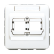 CD 569-21 ACS WW