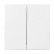 Busch Jaeger 6736 FoH-84 Bedieningswip 2-voudig voor serie Platform 63 Future linear Studiowit 