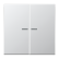 Jung HOME BT AL 17102 Taster 2-voudig Aluminium