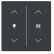 Busch Jaeger LFDW/A.2.63.11-81 Future Linear Afdekking 2-voudig wip voor keypad met symbool “Dimmen/Jaloezie" Antraciet